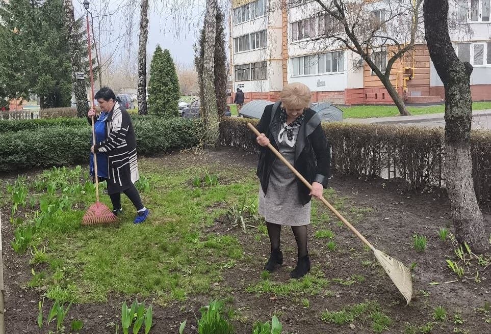 Традиційна весняна толока в ліцеї — фото 6